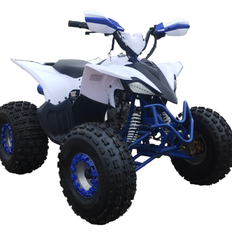 High quality 125cc 4x2 ATV for adults for kids four wheeler atv for sale FL-125ZY